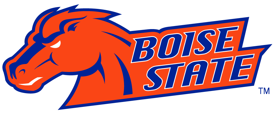 Boise State Broncos 2002-2012 Secondary Logo v15 t shirts iron on transfers